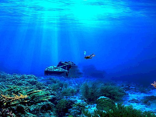 أغرب 10 حقائق عن أعماق المحيط… تعرف عليها !