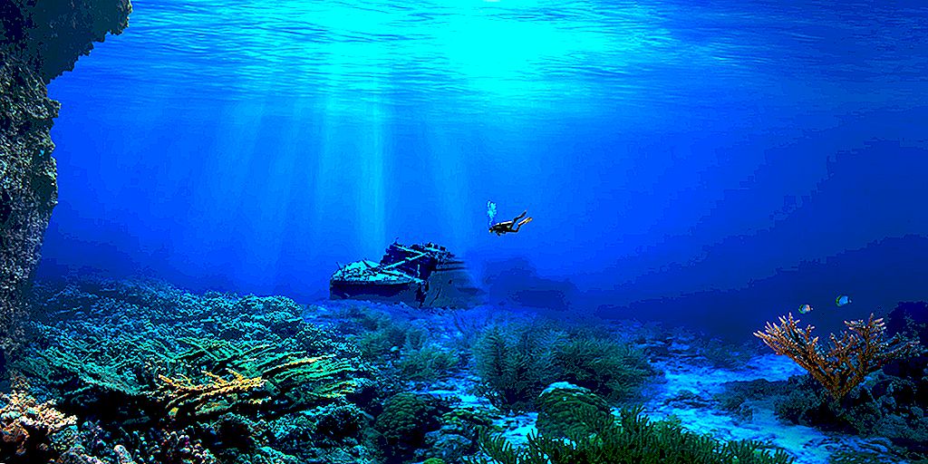 أغرب 10 حقائق عن أعماق المحيط… تعرف عليها !