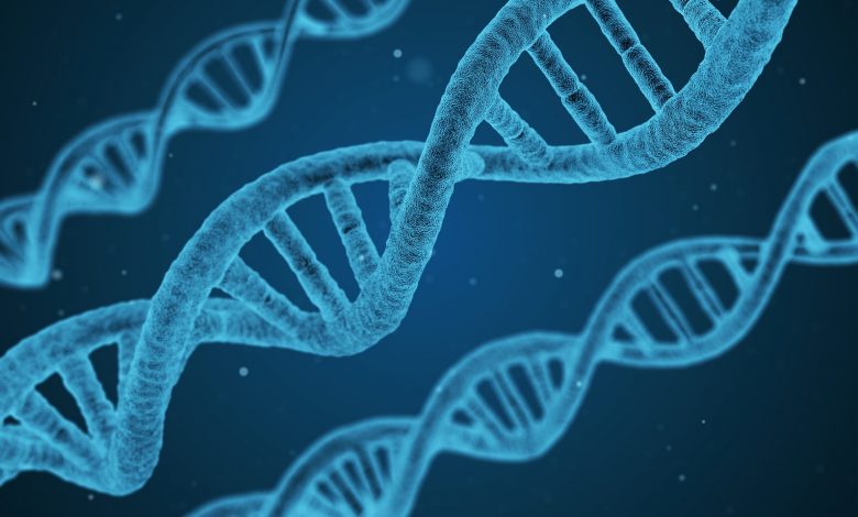 ما هي الهندسة الوراثية وبعض الحقائق عنها ؟