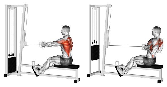 Seated Cable Row Wide Grip