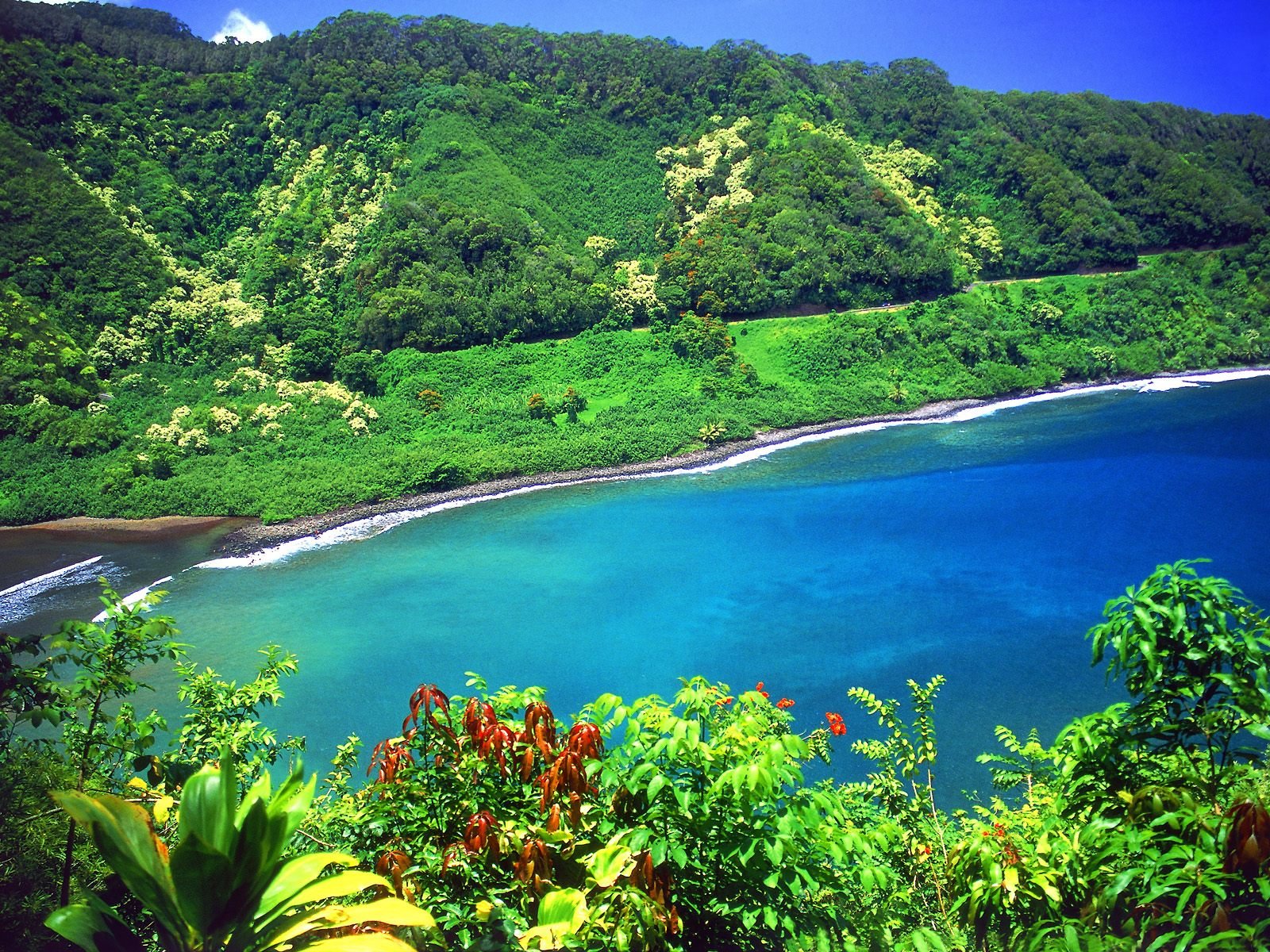 جزر هاواي